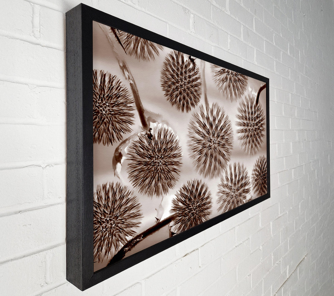  A Canvas Print of Dandelion Dream Chocolate Canvas Wall Art