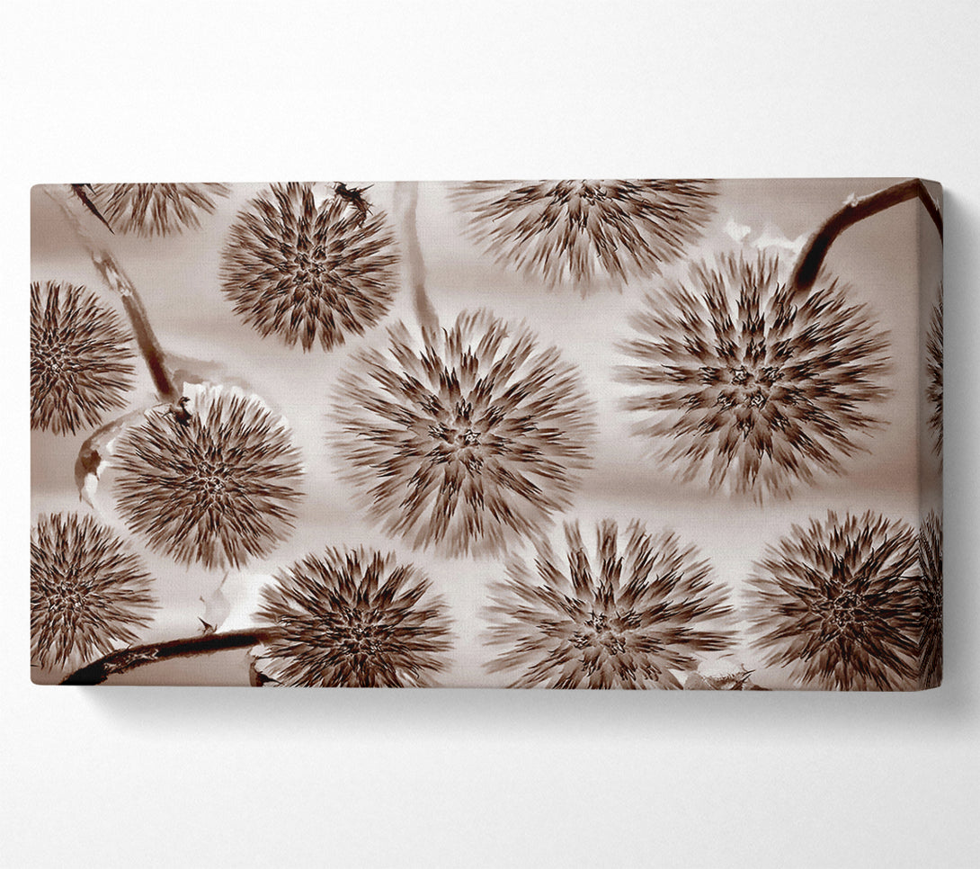  A Canvas Print of Dandelion Dream Chocolate Canvas Wall Art