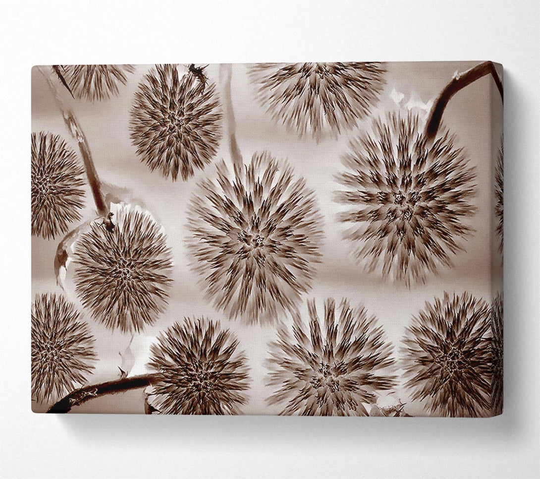  A Canvas Print of Dandelion Dream Chocolate Canvas Wall Art