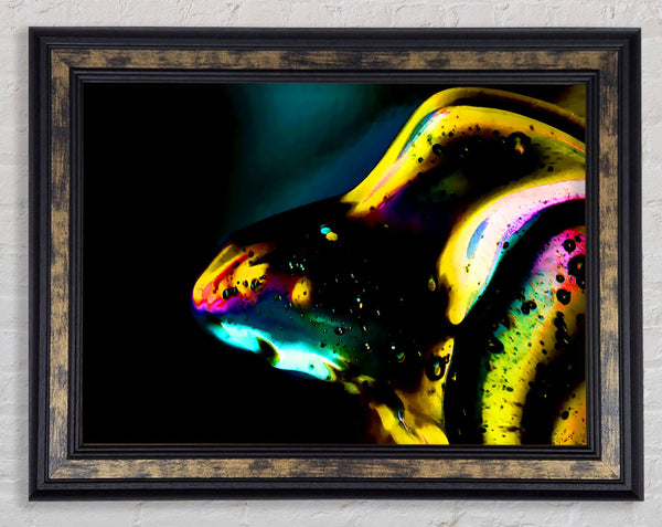Dewdrops Framed Print