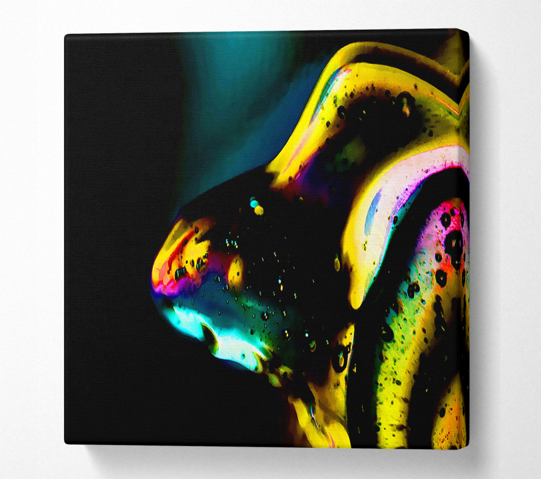  A Canvas Print of Dewdrops Canvas Print