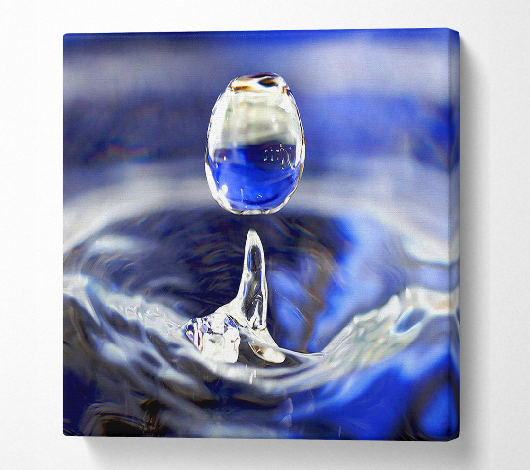  A Canvas Print of Drop Canvas Wall Art