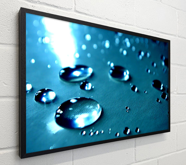 Drops Of Water