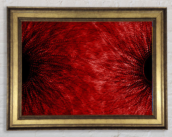 Duo Red Framed Print