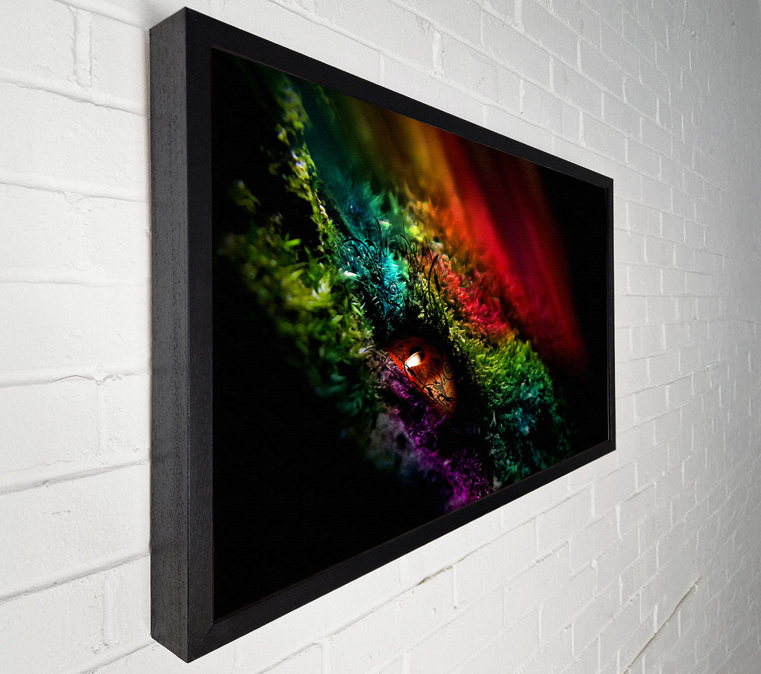  A Canvas Print of Eye Of The Rainbow Canvas Art
