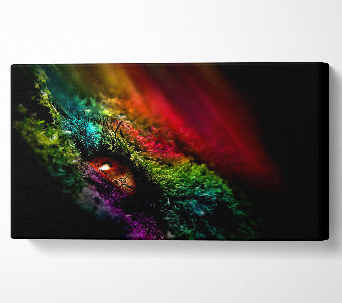  A Canvas Print of Eye Of The Rainbow Canvas Art