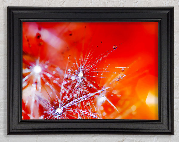 Fairy Lights Framed Print