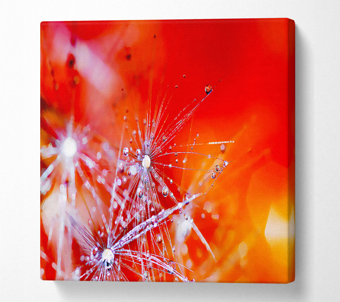  A Canvas Print of Fairy Lights Canvas Wall Art