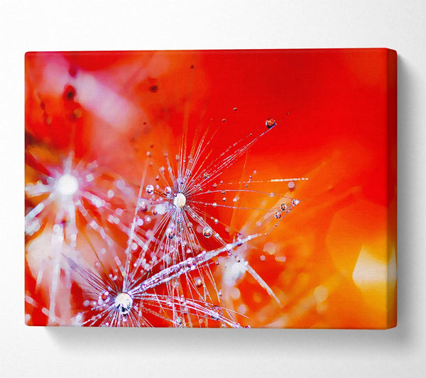  A Canvas Print of Fairy Lights Canvas Wall Art
