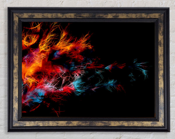Feather Delight Framed Print