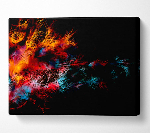  A Canvas Print of Feather Delight Canvas Print