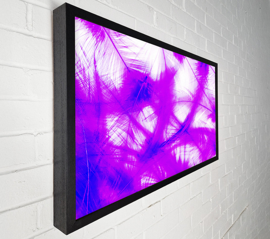  A Canvas Print of Feathers Pink Canvas Print