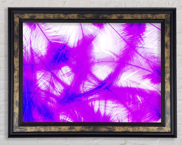 Feathers Pink Framed Print