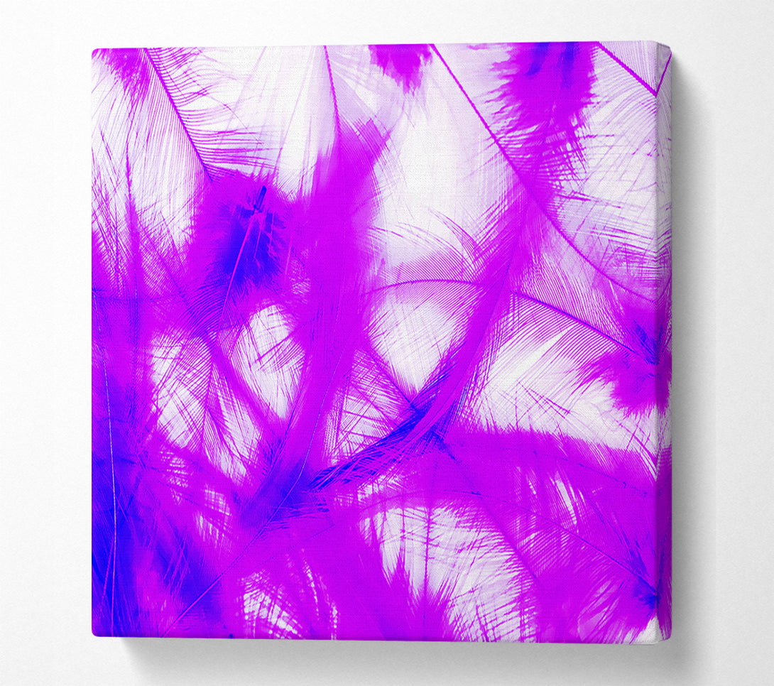  A Canvas Print of Feathers Pink Canvas Print