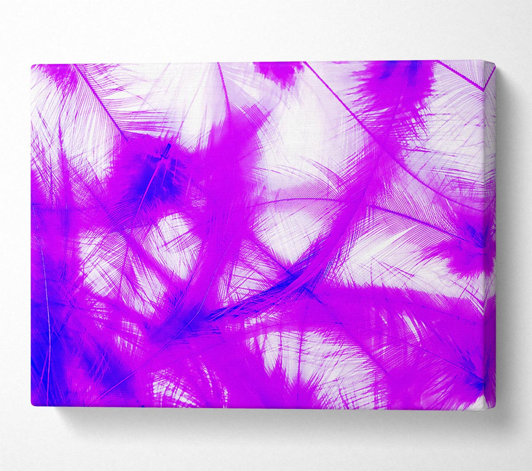  A Canvas Print of Feathers Pink Canvas Print