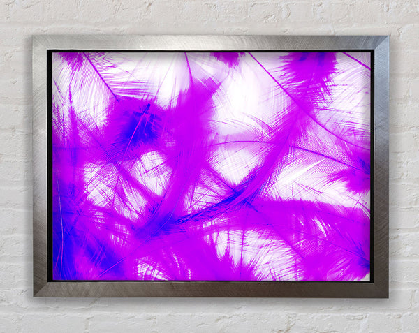 Feathers Pink Framed Print