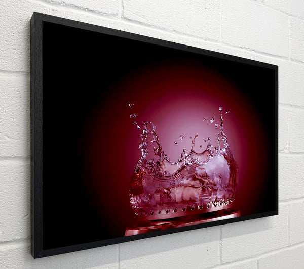 Flames Of Water Mulberry