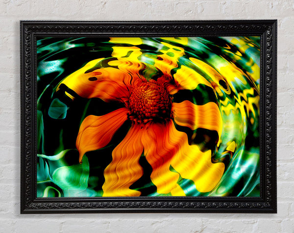 Flower Drop Framed Print