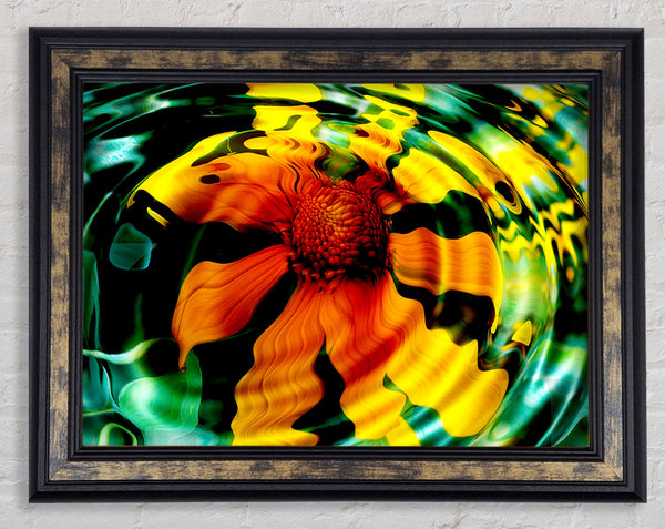 Flower Drop Framed Print