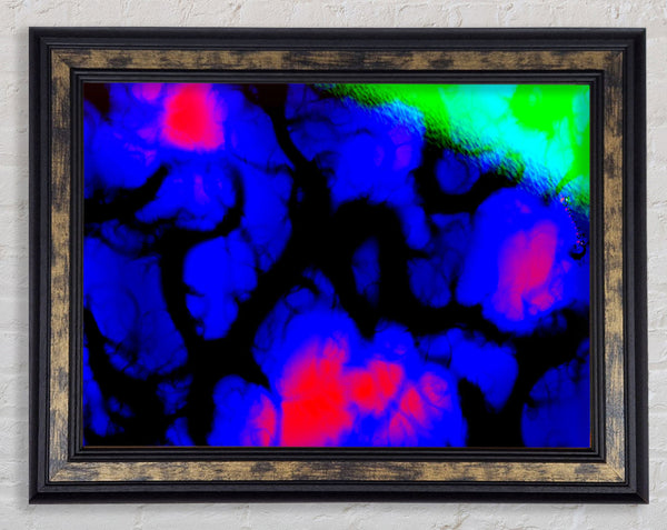 Fluorescent Glow Framed Print
