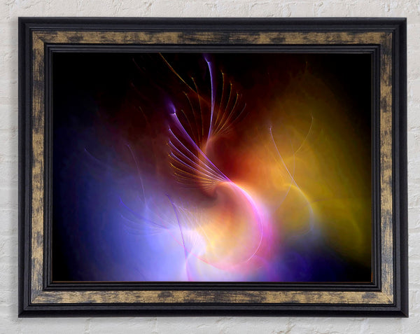 Galaxy Of Colours Framed Print