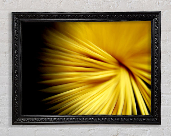Golden Flare Framed Print