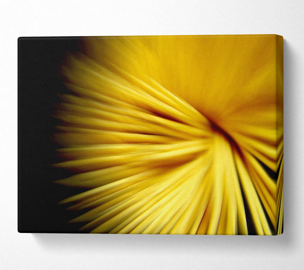 A Canvas Print of Golden Flare Canvas Print