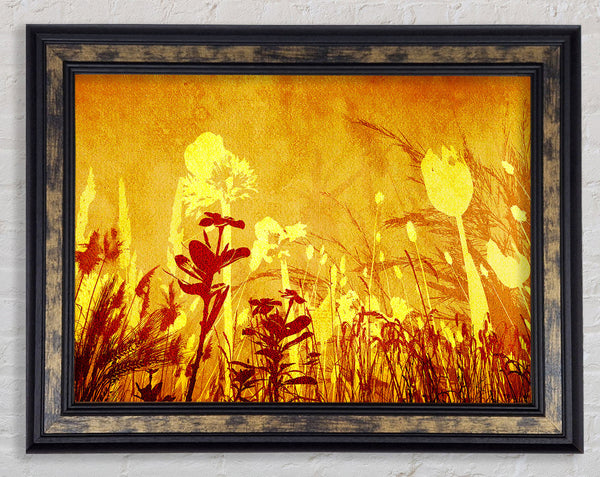 Golden Slash Flowers Framed Print