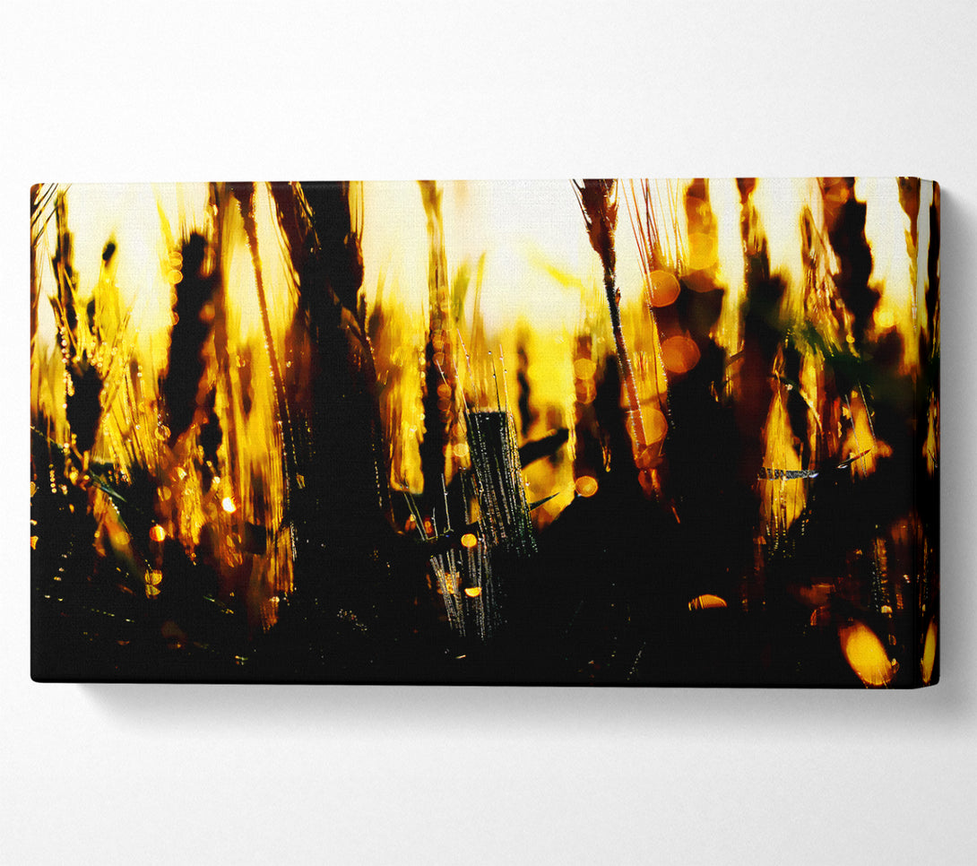 A Canvas Print of Golden Wheatfield Canvas Wall Art