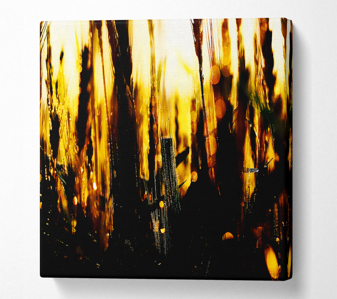  A Canvas Print of Golden Wheatfield Canvas Wall Art