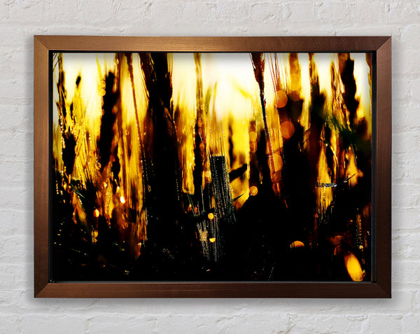 Golden Wheatfield Framed Print