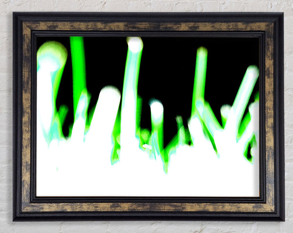 Grass Roots Framed Print
