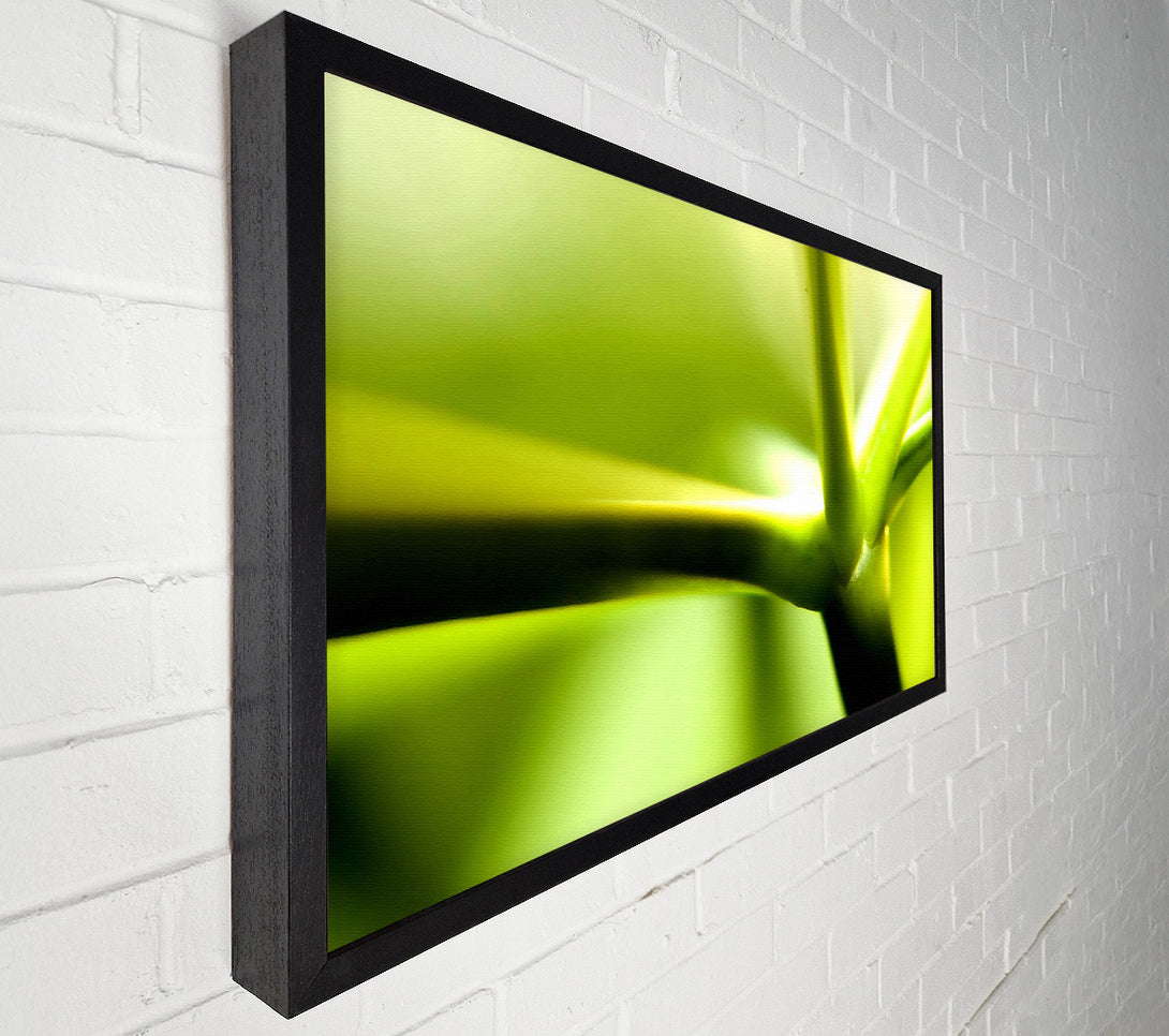  A Canvas Print of Green Stem Canvas Wall Art