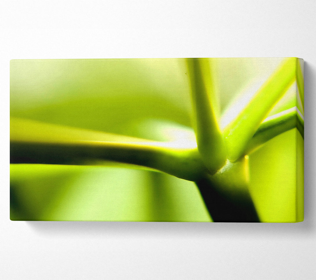  A Canvas Print of Green Stem Canvas Wall Art