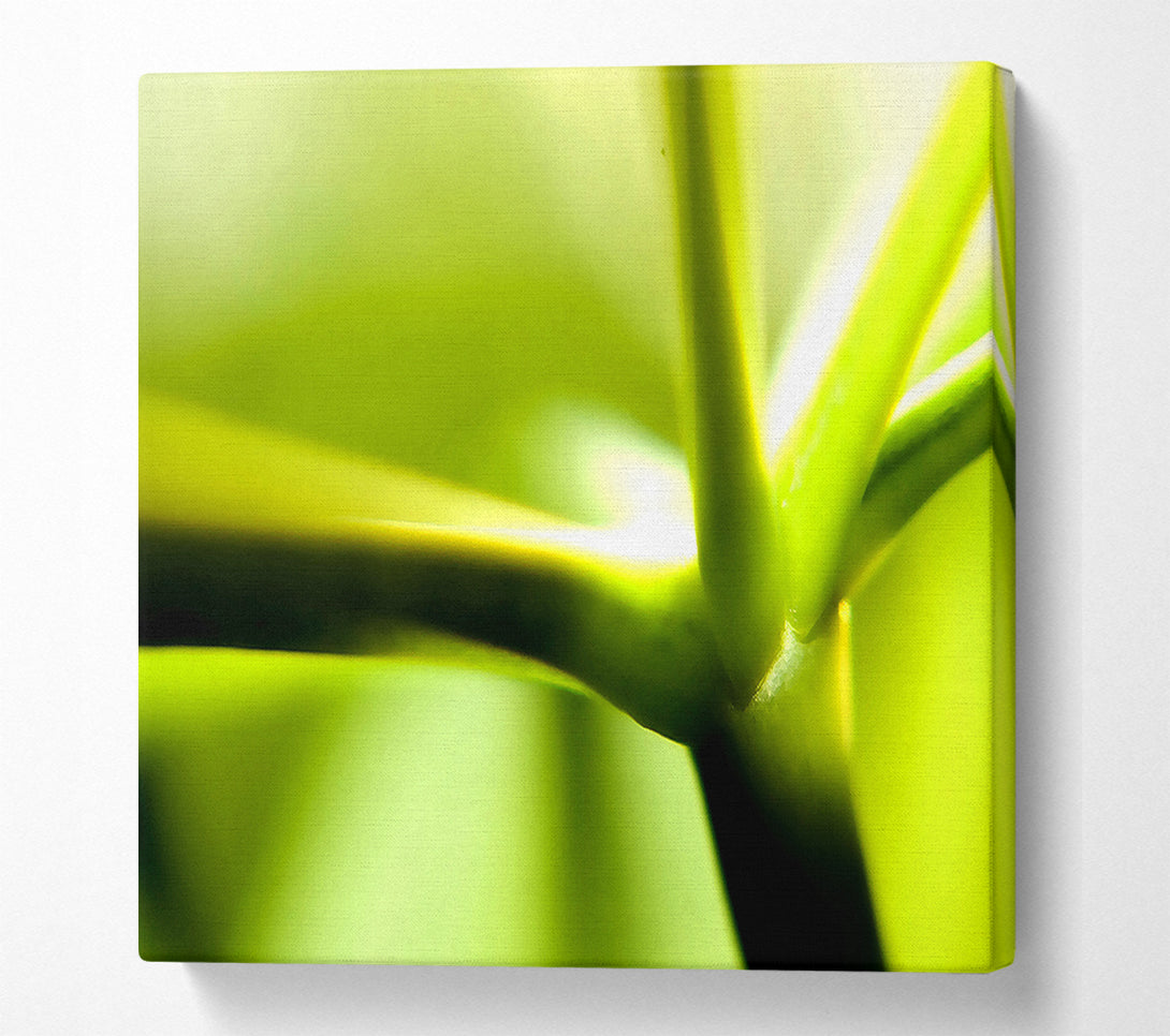  A Canvas Print of Green Stem Canvas Wall Art