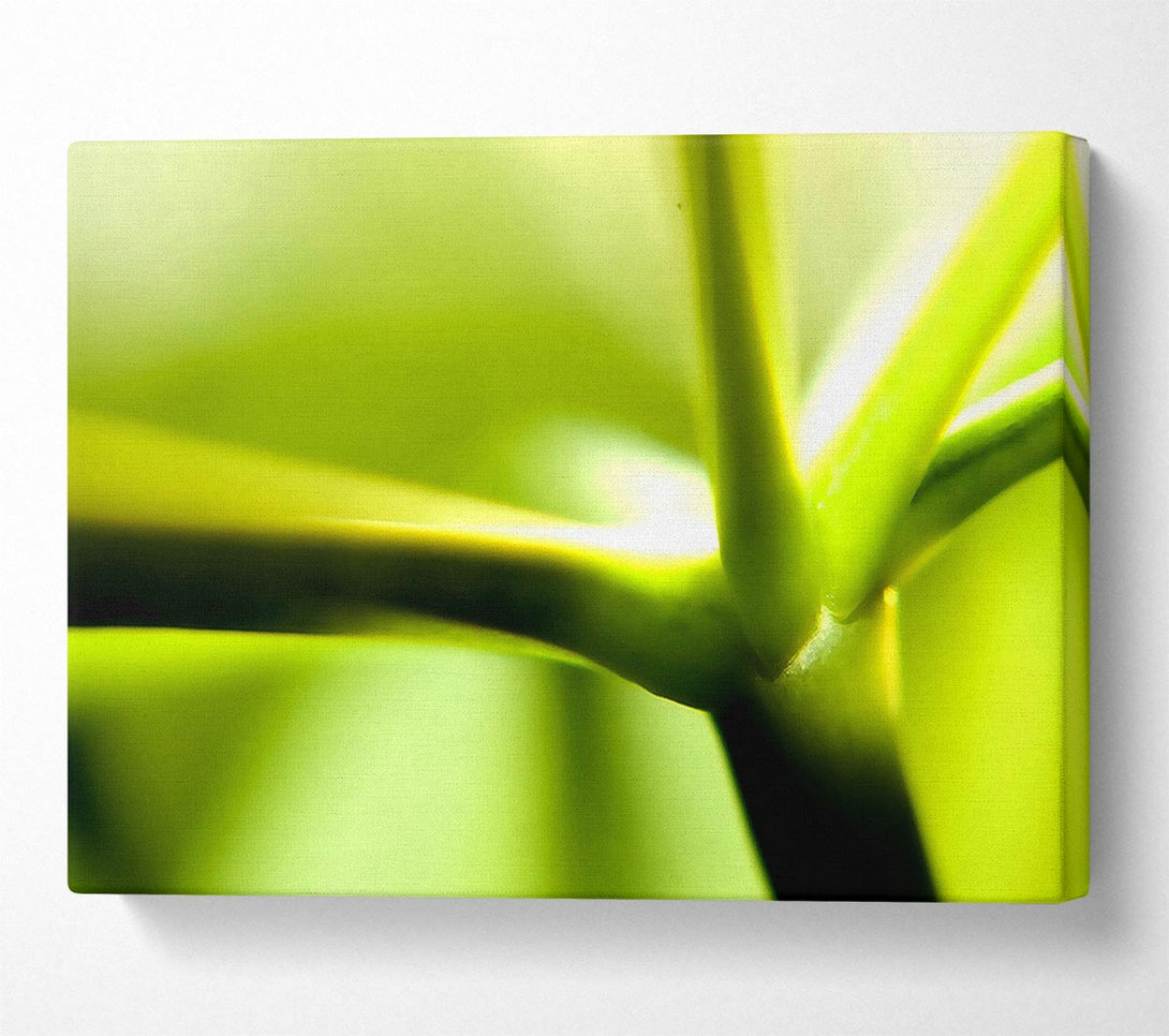  A Canvas Print of Green Stem Canvas Wall Art