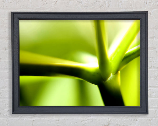 Green Stem Framed Print