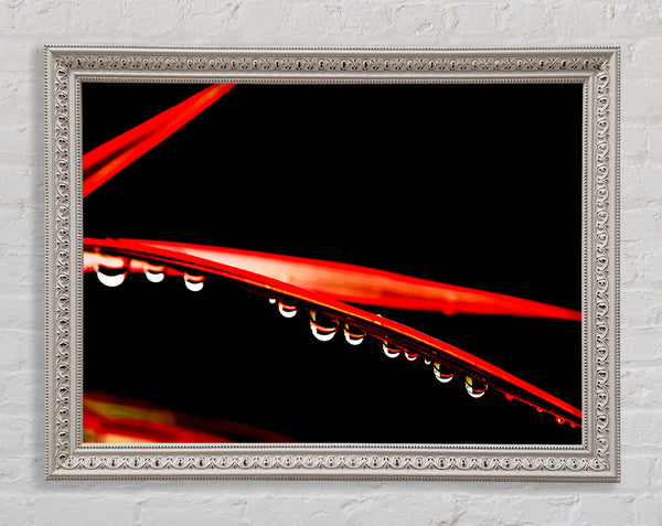 Hanging On Framed Print