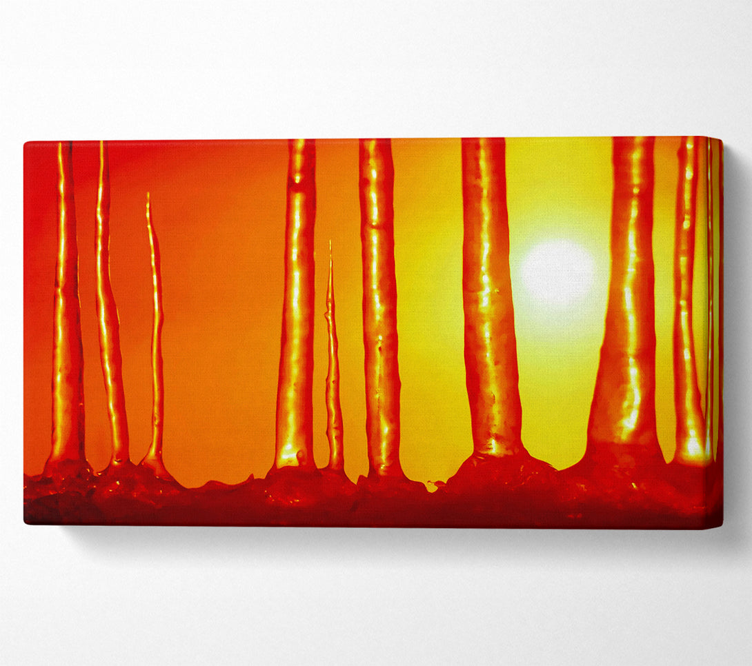  A Canvas Print of Icecap Sun Canvas Wall Art