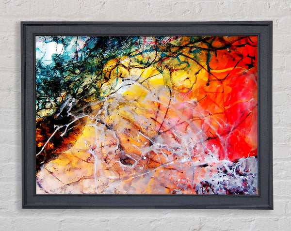 Illusive Rainbow Trees Framed Print