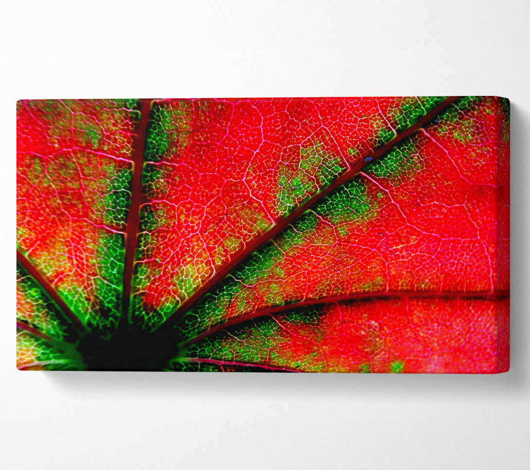  A Canvas Print of Inside A Poppy Canvas Art