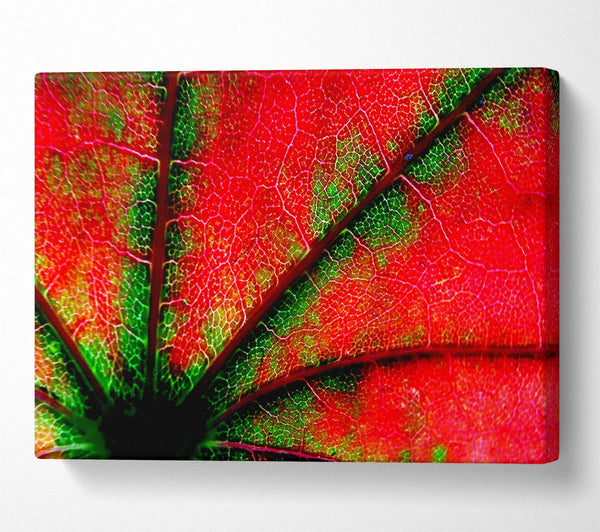  A Canvas Print of Inside A Poppy Canvas Art
