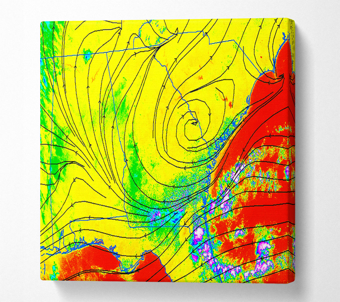  A Canvas Print of Jungle Of Life Canvas Art