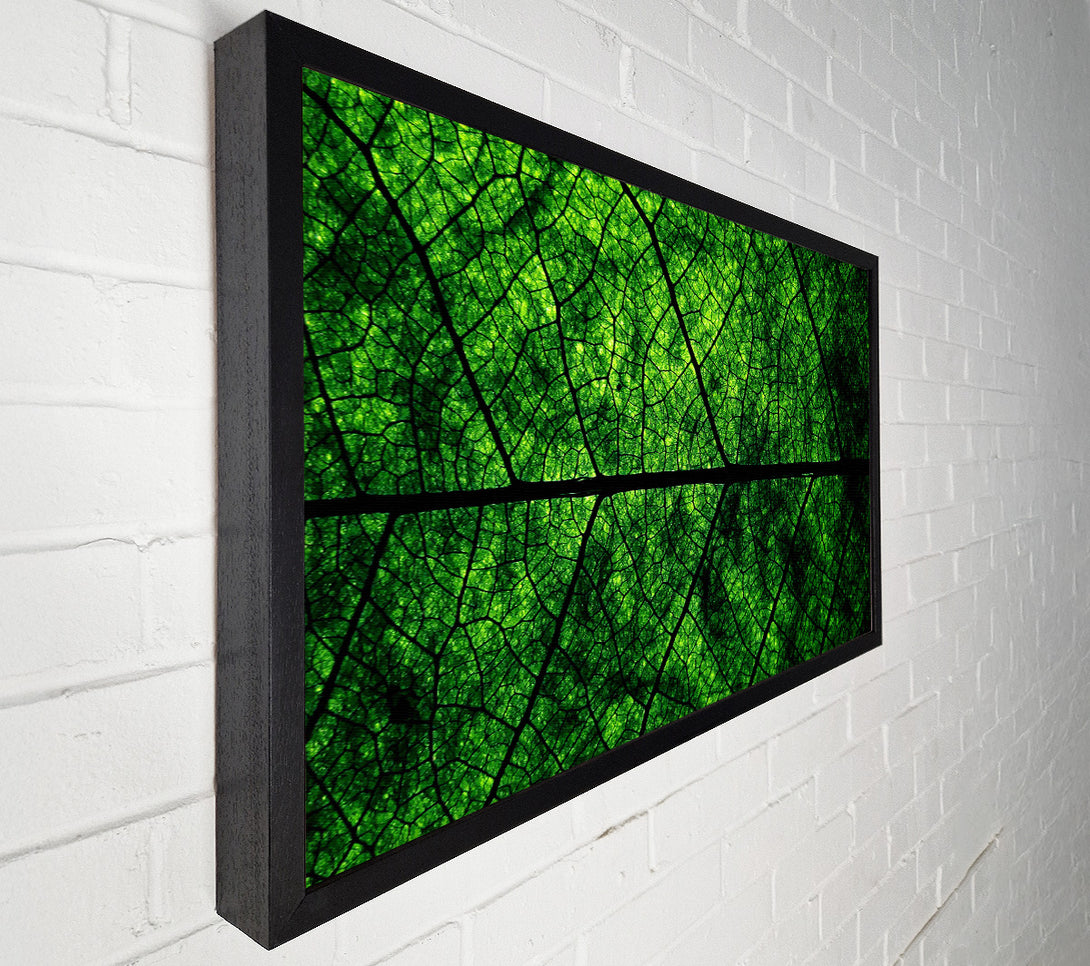  A Canvas Print of Leaf Veins Canvas Wall Art