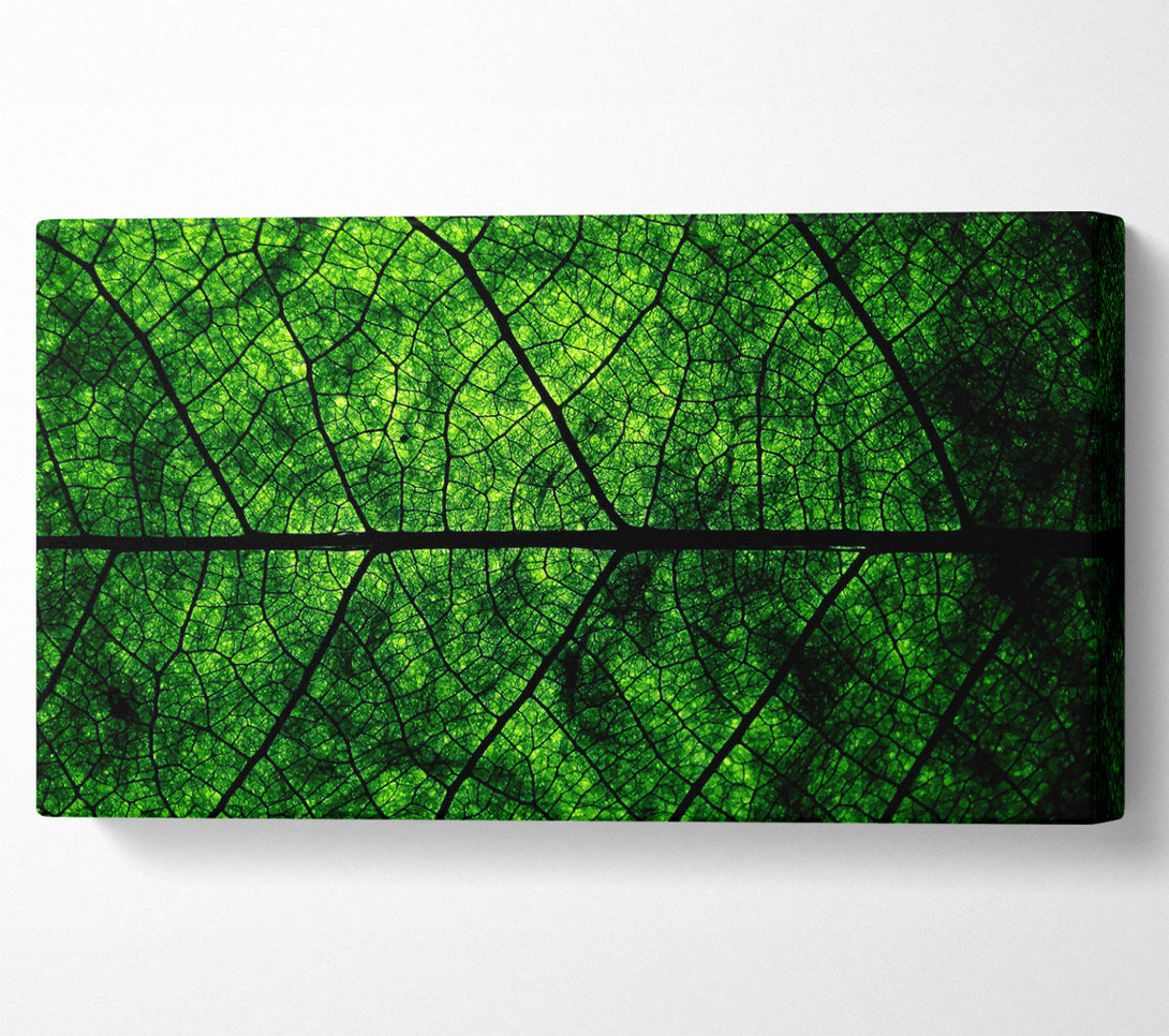  A Canvas Print of Leaf Veins Canvas Wall Art