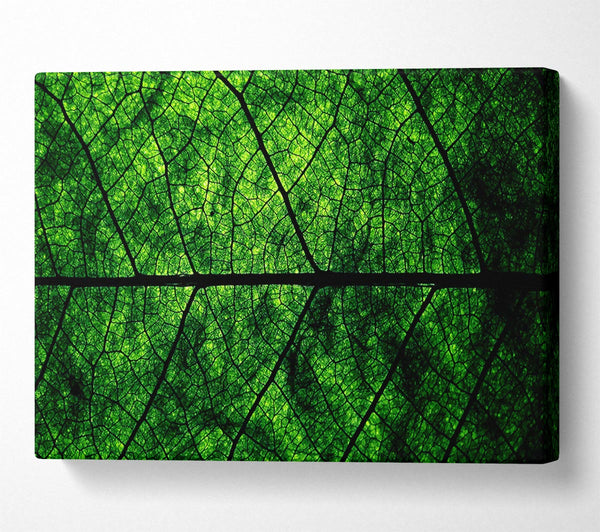  A Canvas Print of Leaf Veins Canvas Wall Art