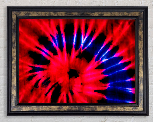 Life Lines Framed Print
