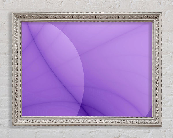 Lilac Beauty Framed Print