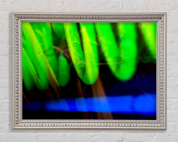 Lime Green Coil Framed Print