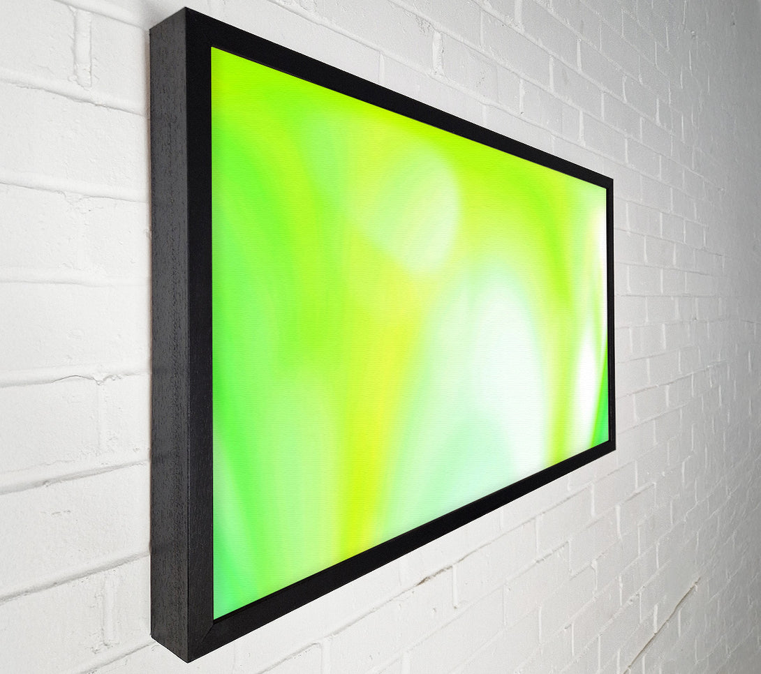  A Canvas Print of Lime Infusion Canvas Print